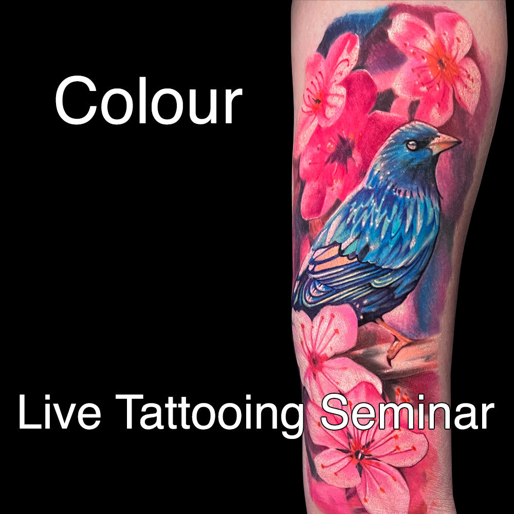 LIVE Tattooing Colour Seminar