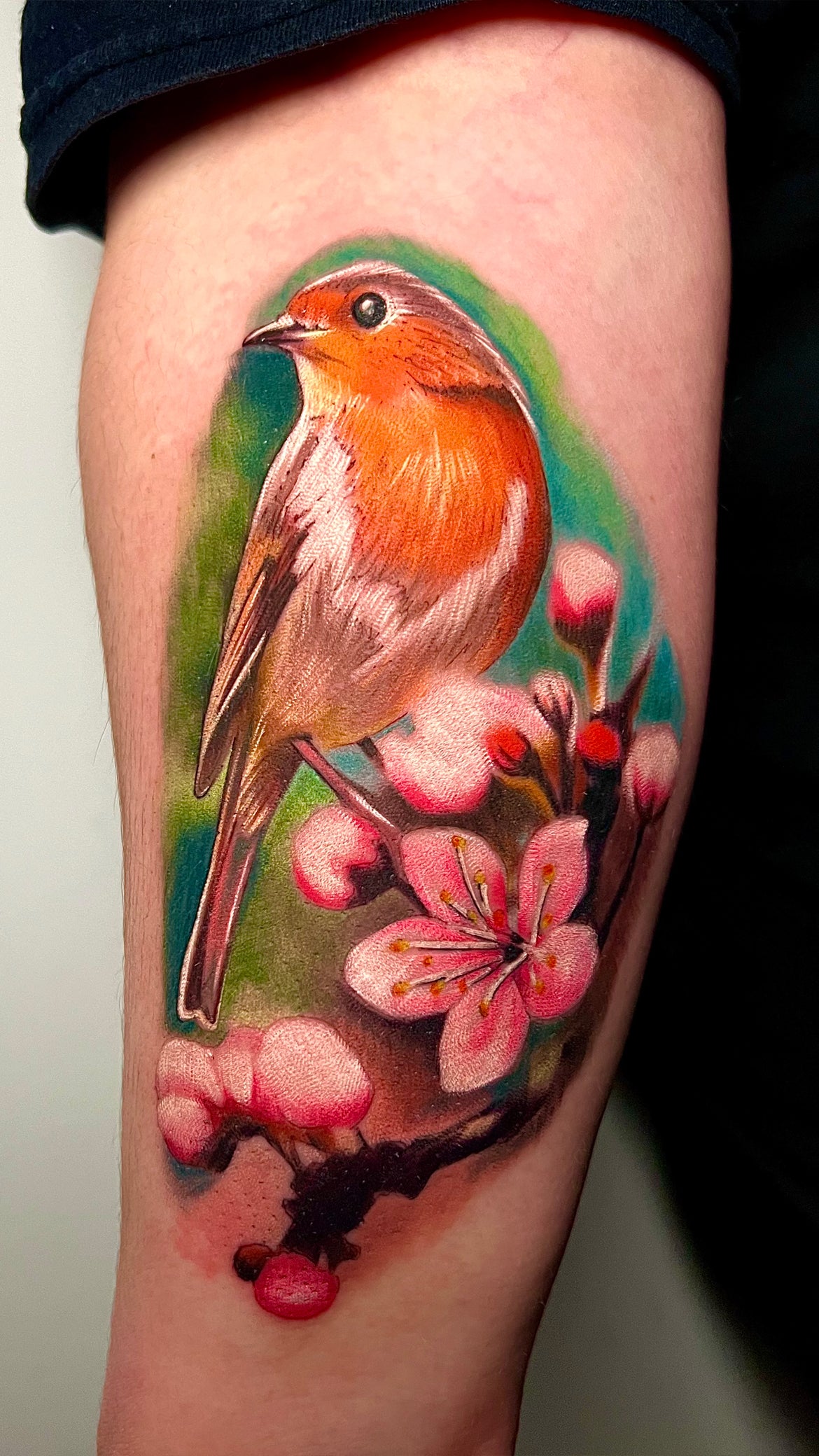 LIVE Tattooing Colour Seminar