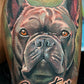 LIVE Tattooing Colour Seminar